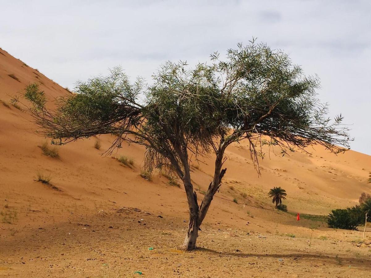 Desert Camel Trekking Camp Merzouga Extérieur photo